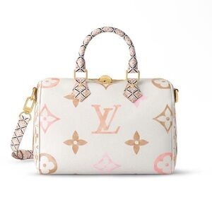Louis Vuitton Speedy